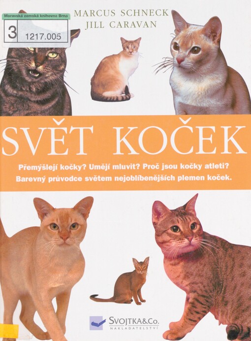 Svět koček