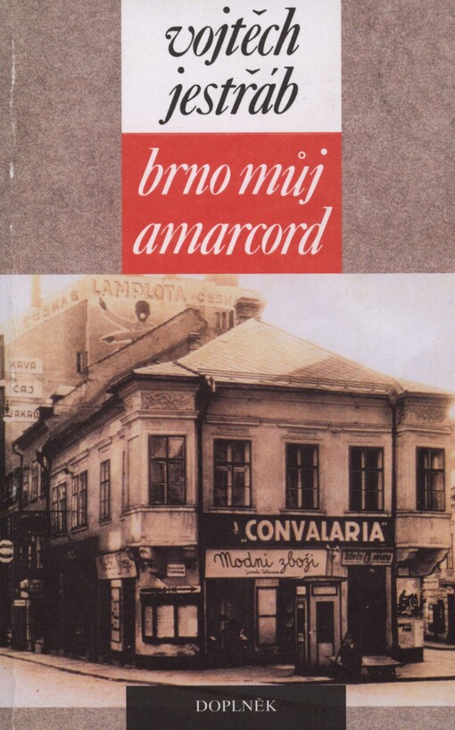 Brno - můj Amarcord: [román-koláž]