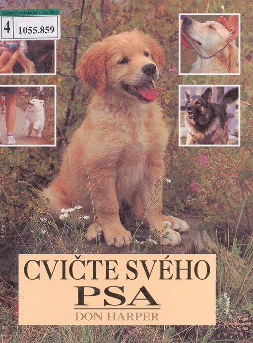 Cvičte svého psa