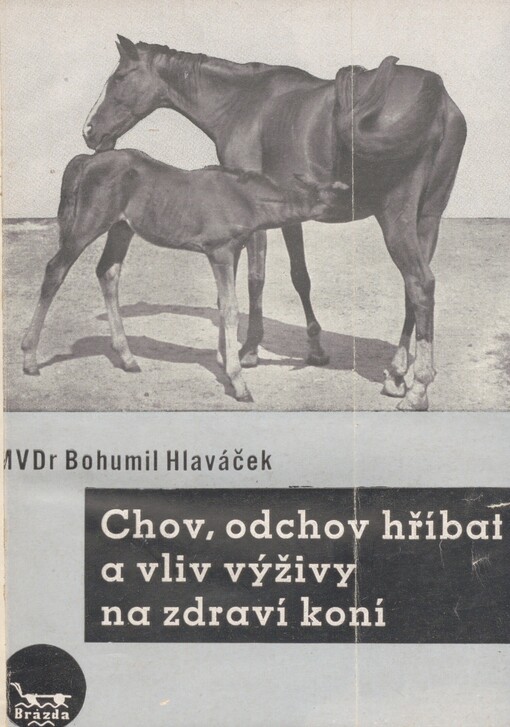 Chov a odchov hříbat a vliv výživy na zdraví koní