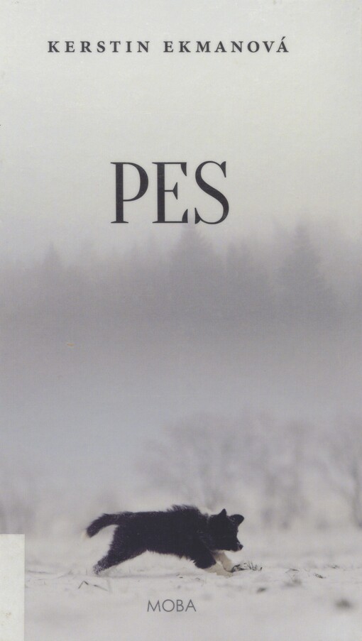 Pes