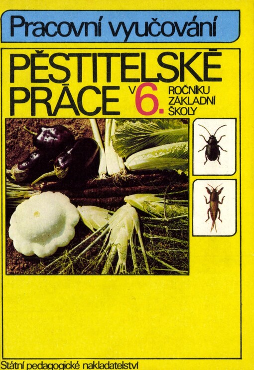 Pěstitelské práce v šestém ročníku základní školy: Pracovní vyučování