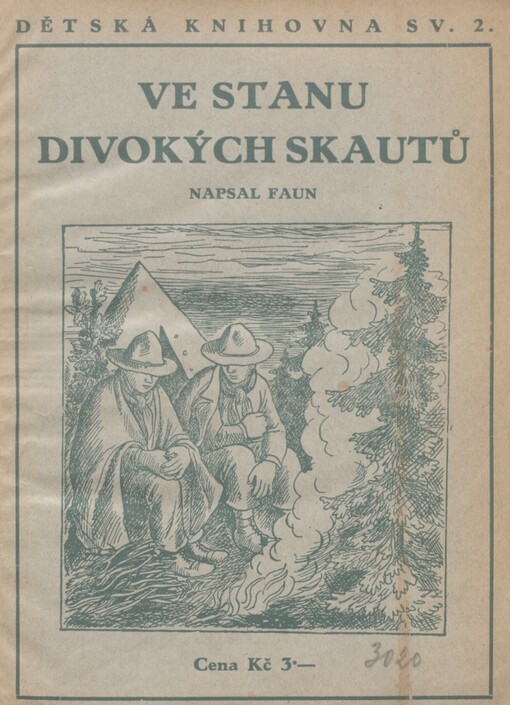 Ve stanu divokých skautů: skautská povídka