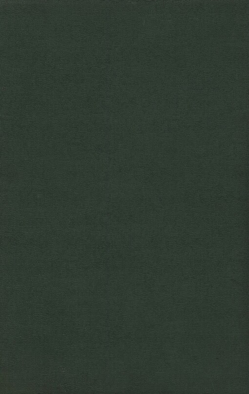 Čingischán: vypravování ze života staré Asie třináctého století