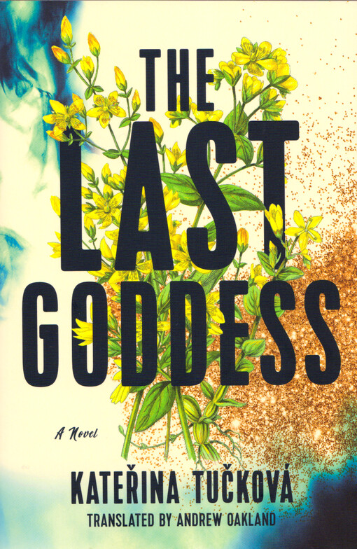 The last goddess : a novel