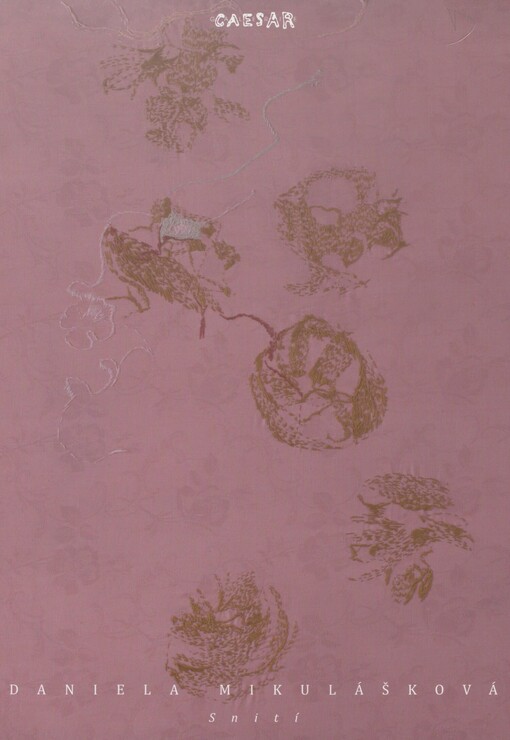 Daniela Mikulášková: snití : [250. výstava Galerie Caesar, 4.12.-31.12.2012