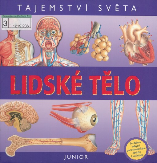 Lidské tělo