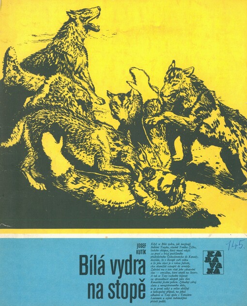 Bílá vydra na stopě