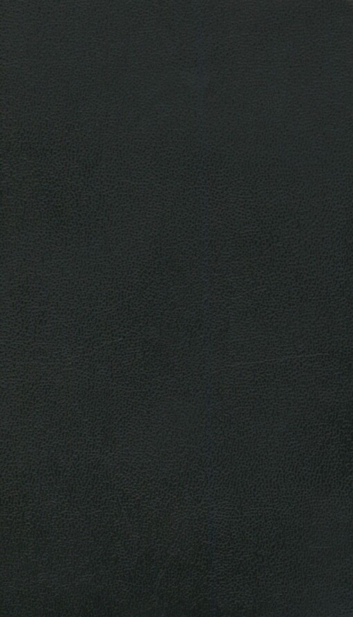 Les démons: carnets des Démons ; Les pauvres gens