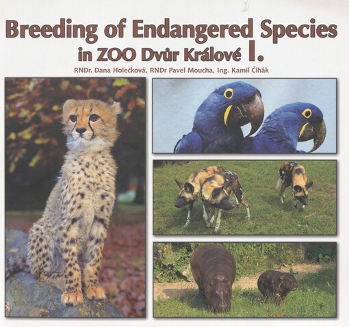 Breeding of endangered species in Dvůr Králové Zoo. I. Hyacinth macaw, pygmy hippopotamus, wild African dog, cheetah