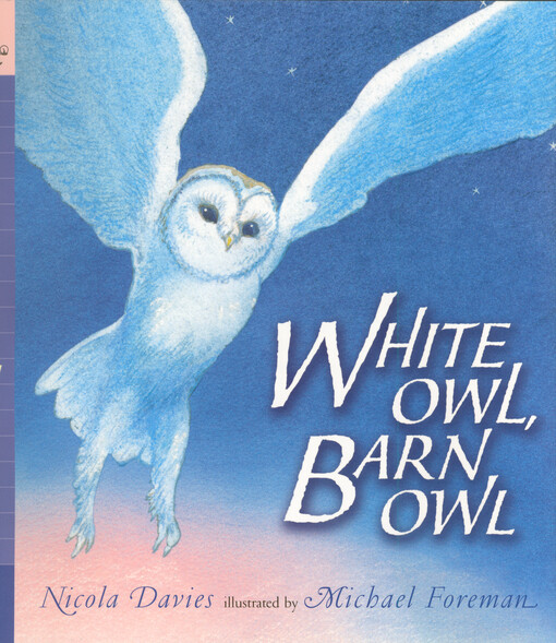 White owl, barn owl