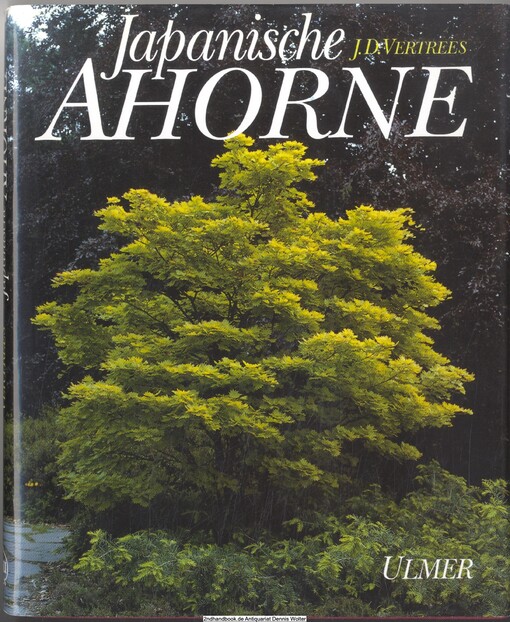 Japanische Ahorne.