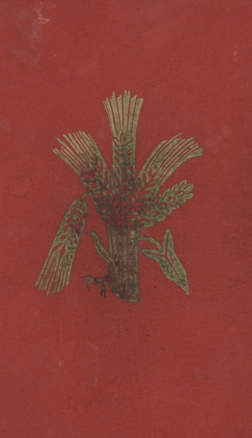 Bílý lesmistr: přírodní román