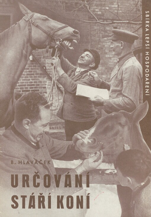 Určování stáří koní