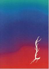 Nebula  (odkaz v elektronickém katalogu)