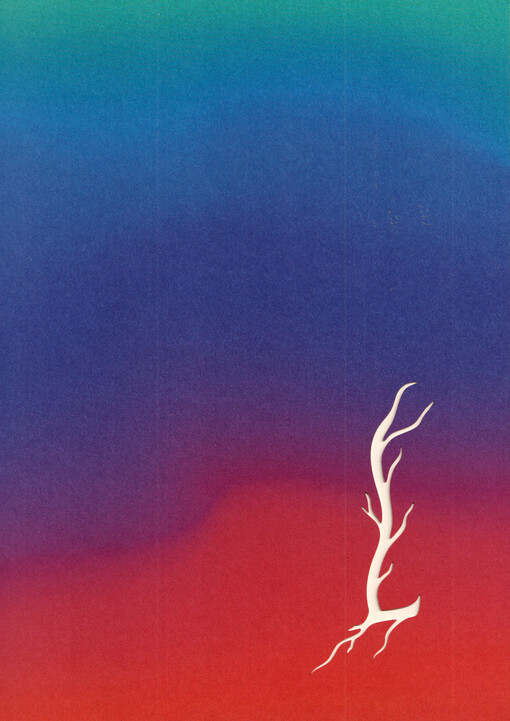 Martin Salajka : nebula