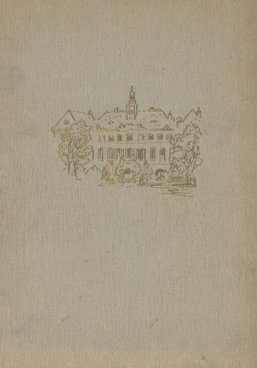 Zámek štěstí: Dívčí román