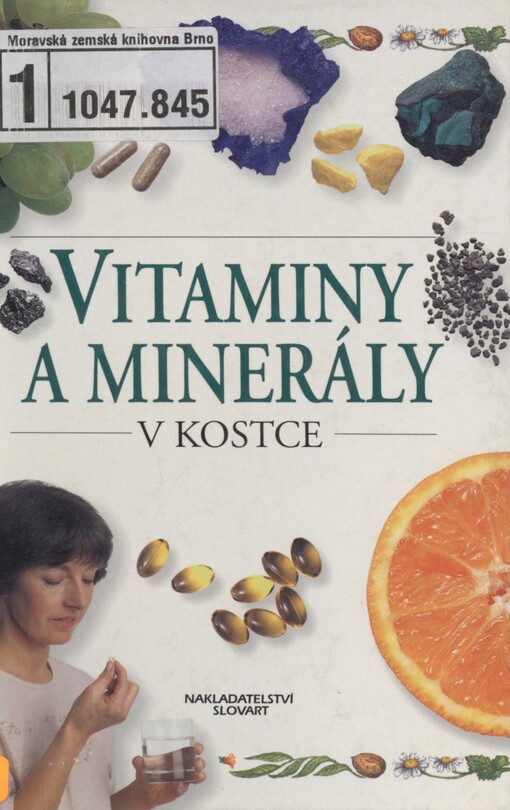 Vitamíny a minerály v kostce