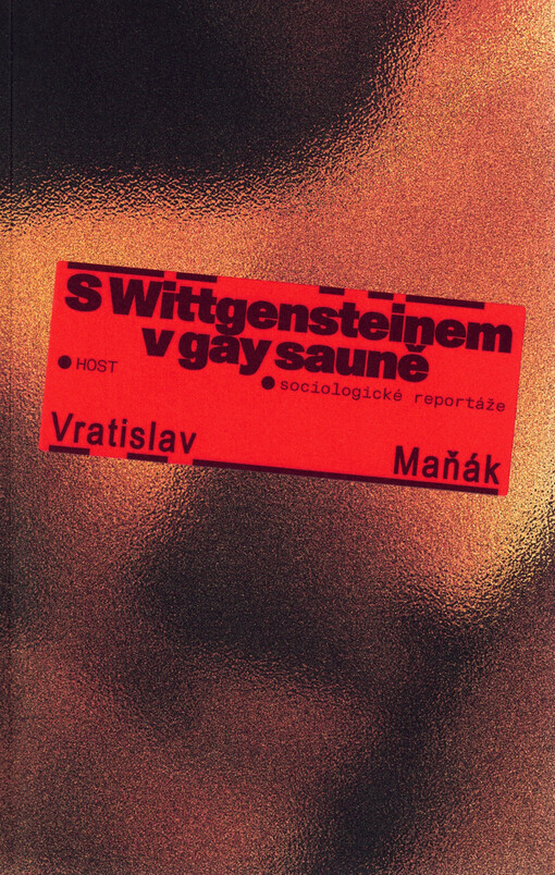 S Wittgensteinem v gay sauně : sociologické reportáže