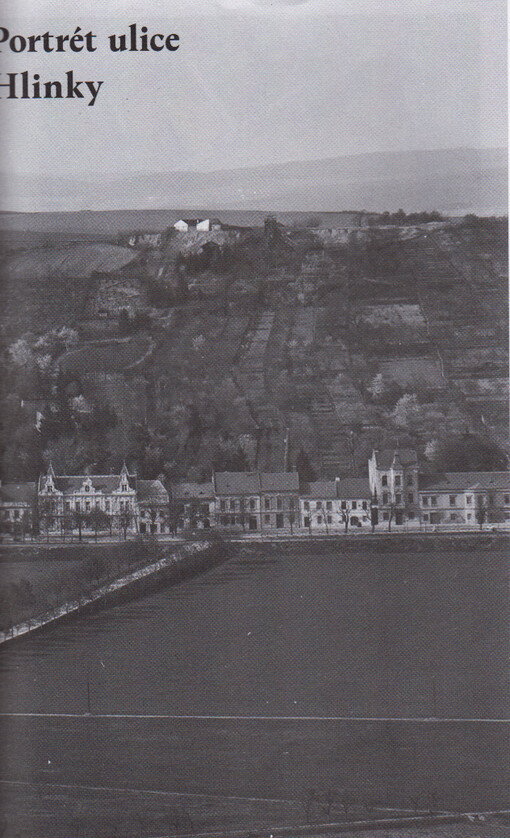 Portrét ulice Hlinky