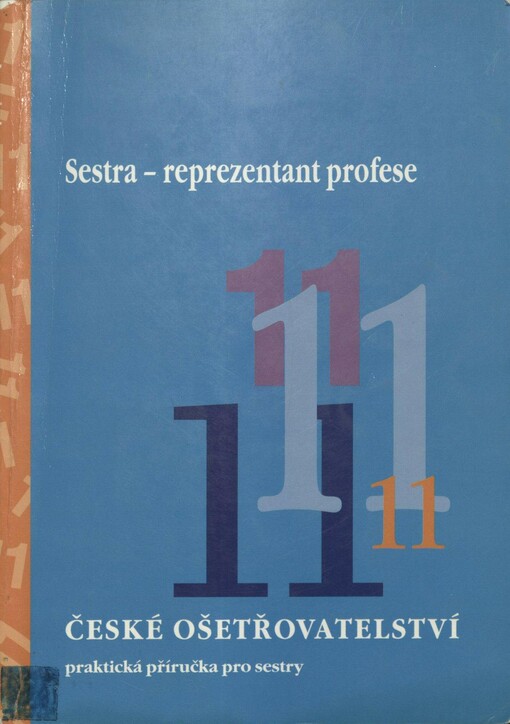 Sestra - reprezentant profese