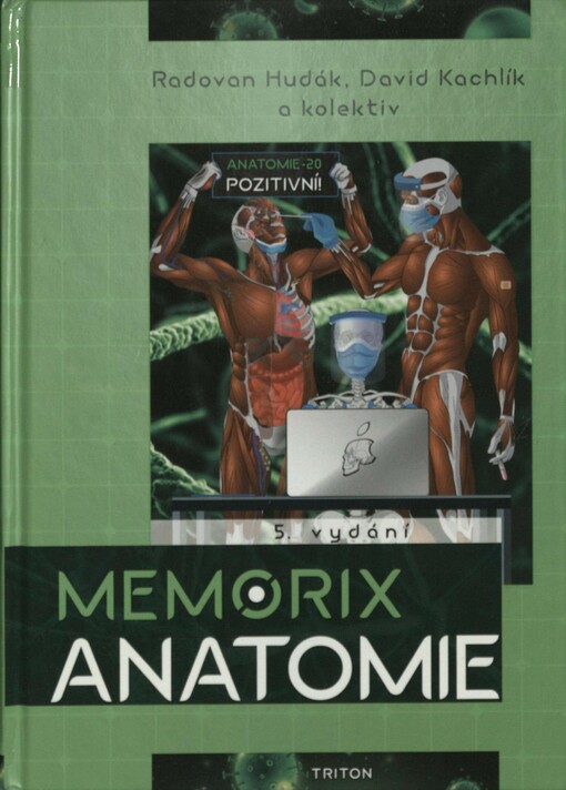 Memorix anatomie