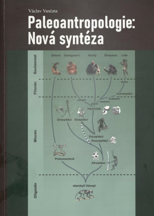 Paleoantropologie: nová syntéza