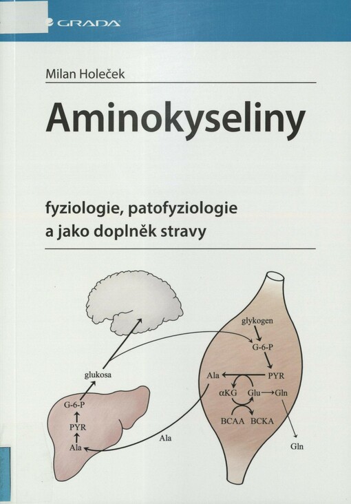 Aminokyseliny: fyziologie, patofyziologie a jako doplněk stravy