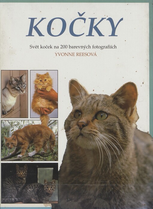 Kočky: [svět koček na 200 barevných fotografiích]