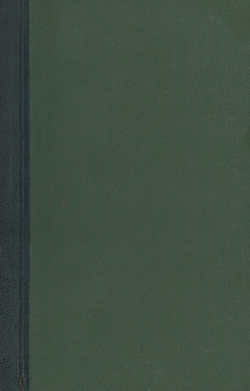 Kašpar Lén mstitel: román