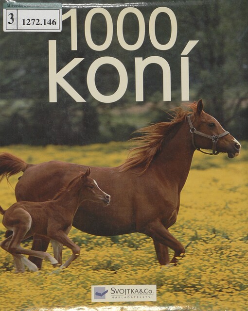 1000 koní