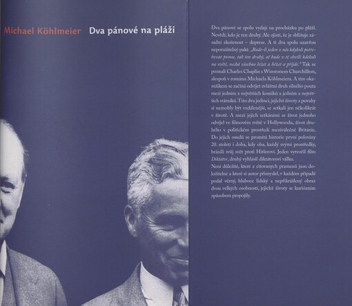 Dva pánové na pláži: román