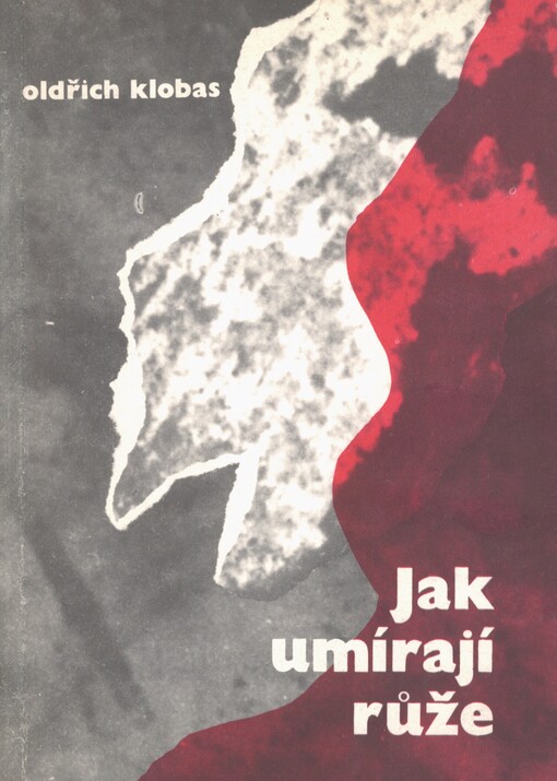 Jak umírají růže