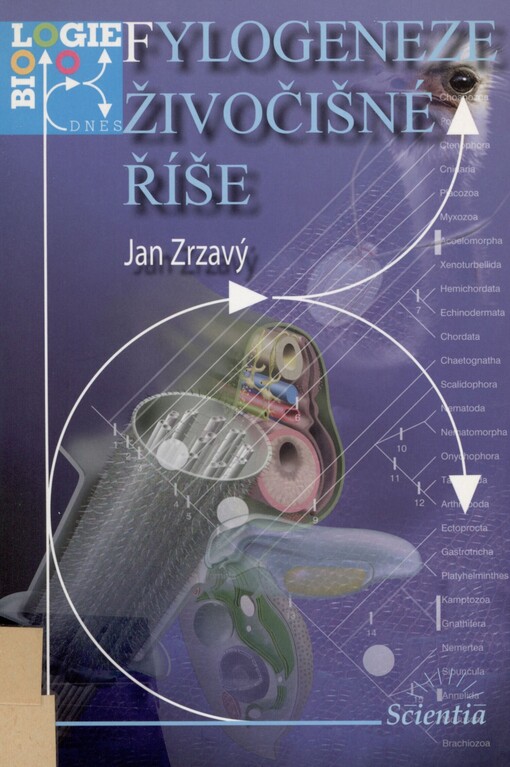 Fylogeneze živočišné říše