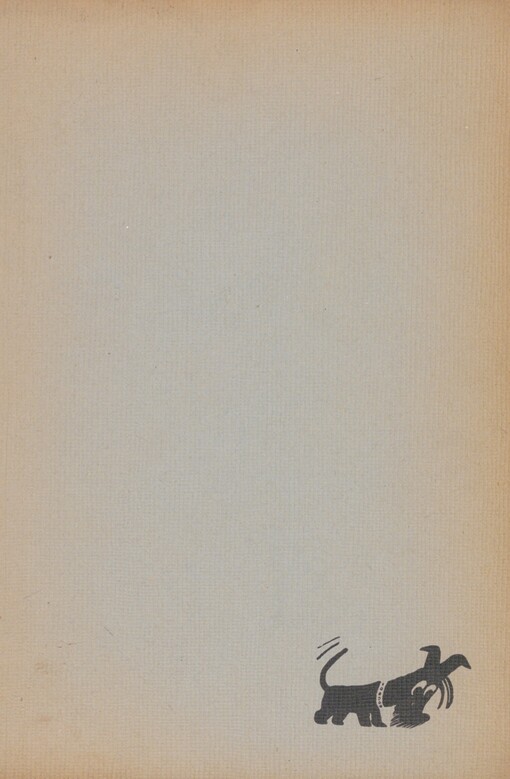 Tajemství černého psa: [detektivka jen pro kluky]