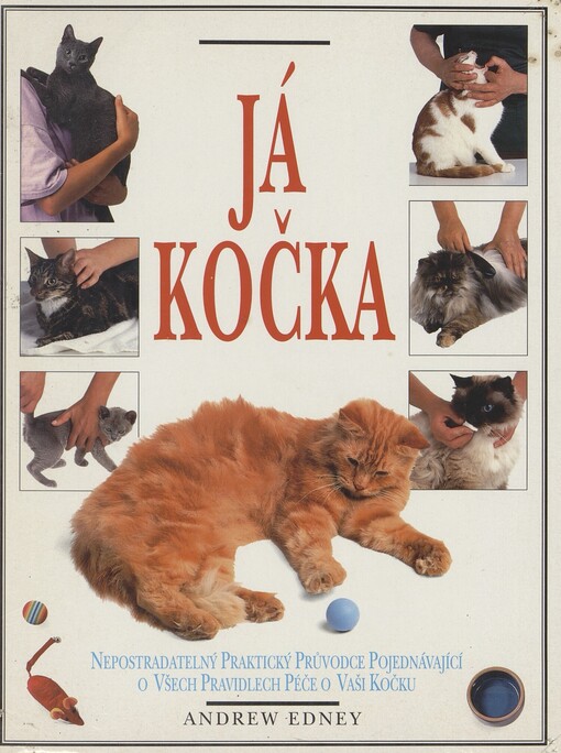 Já, kočka