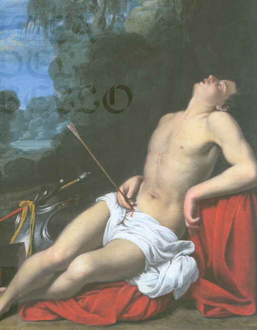 Idea krásy : barokní malířství v Římě = The idea of beauty : baroque painting in Rome