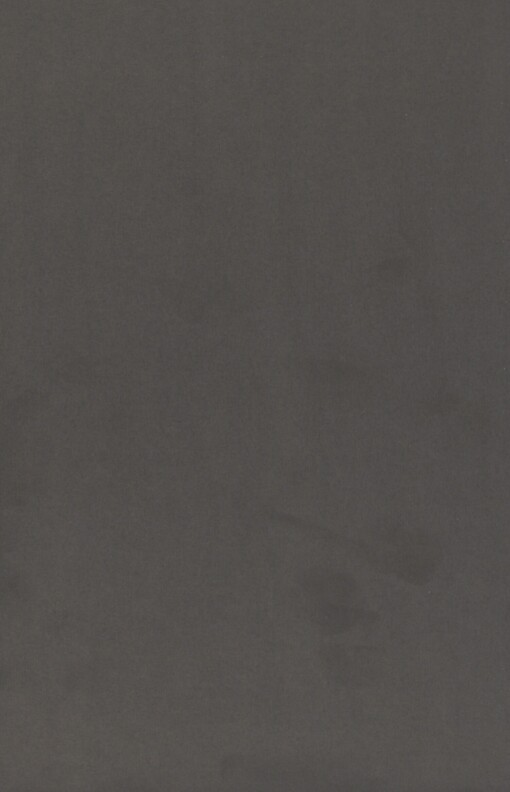 V první linii: z Leningradu až do Berlína