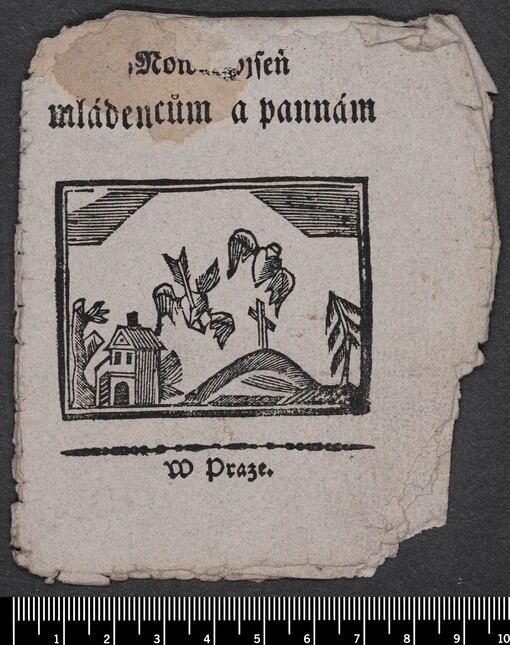 Nowá pjseň mládencům a pannám