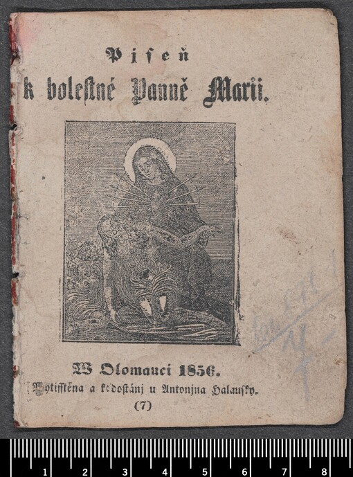 Pjseň k bolestné Panně Marii