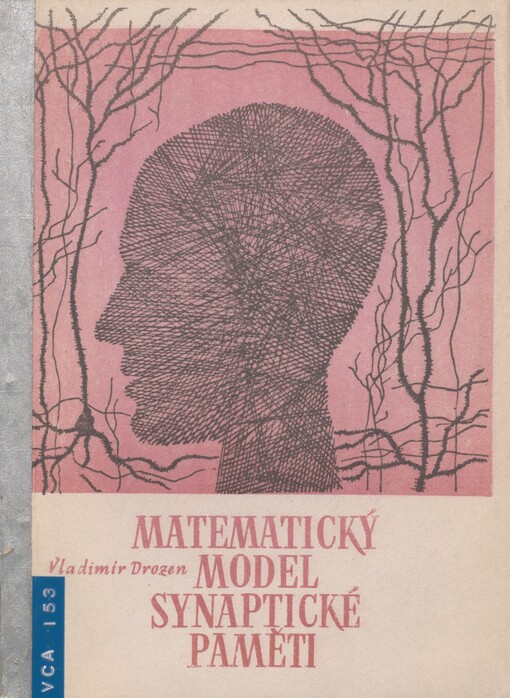 Matematický model synaptické paměti