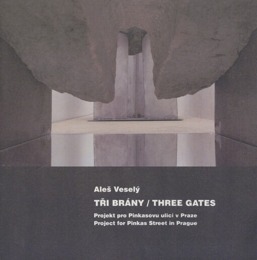 Aleš Veselý: tři brány : projekt pro Pinkasovu ulici v Praze : židovská přítomnost v současném vizuálním umění - Místa paměti : Galerie Roberta Guttmanna, 20. ledna - 13. února 2005 = three gates : project for Pinkas street in Prague : Jewish presence in contemporary visual arts - Places of memory : Robert Guttmann Gallery, January 20 - February 13, 2005