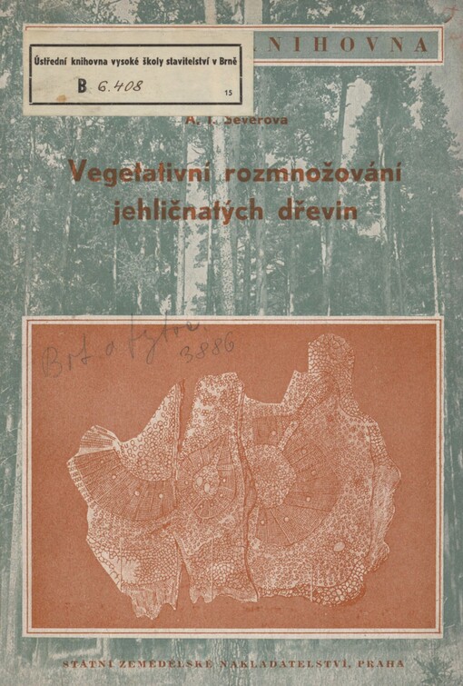 Vegetativní rozmnožování jehličnatých dřevin