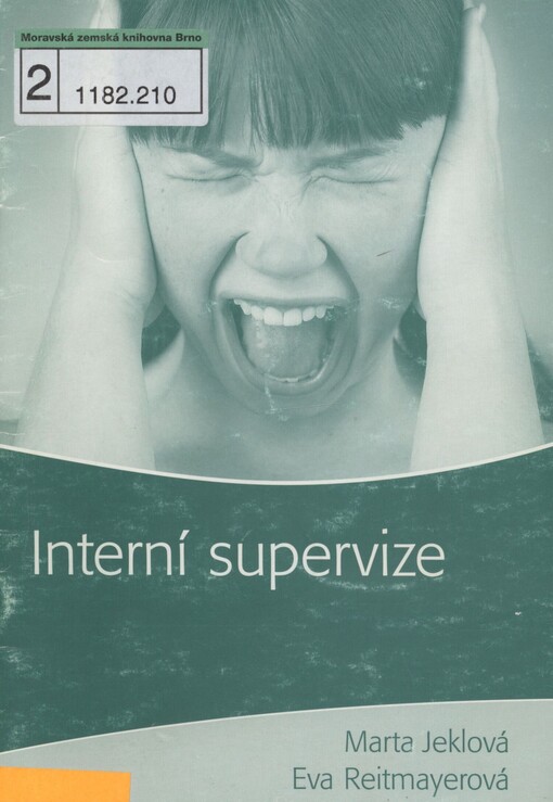 Interní supervize