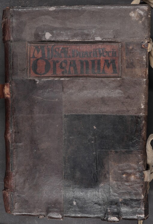 Missae duarum vocum: Organum