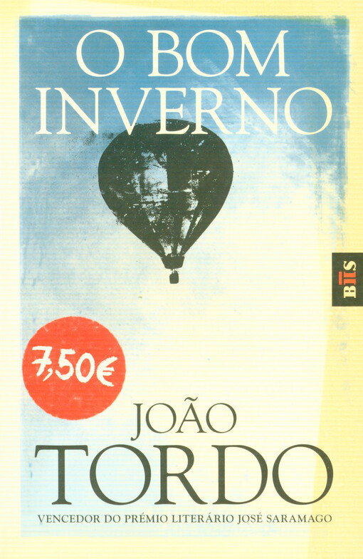 O bom inverno : romance