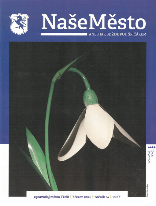 Naše město : obsahově nezávislý měsíčník