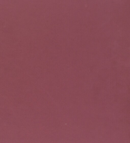 Život Indiánů Severní Ameriky: rodina, lov, zábava a obřady