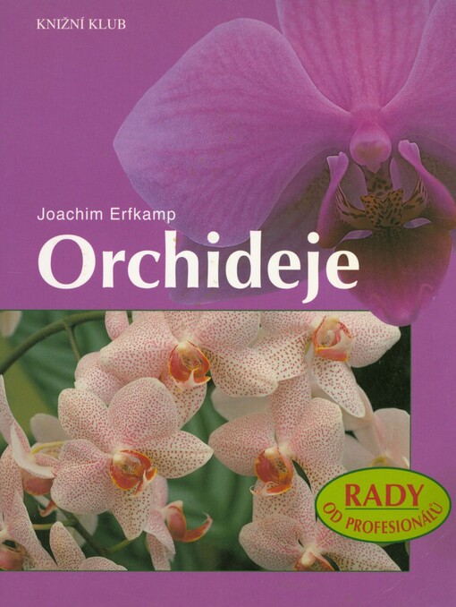 Orchideje