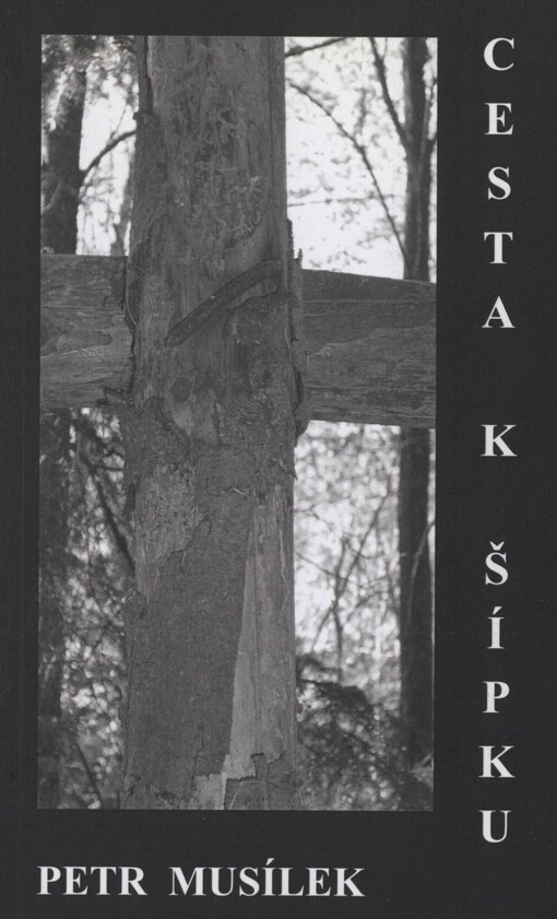 Cesta k šípku: (verše z let 1988-92)